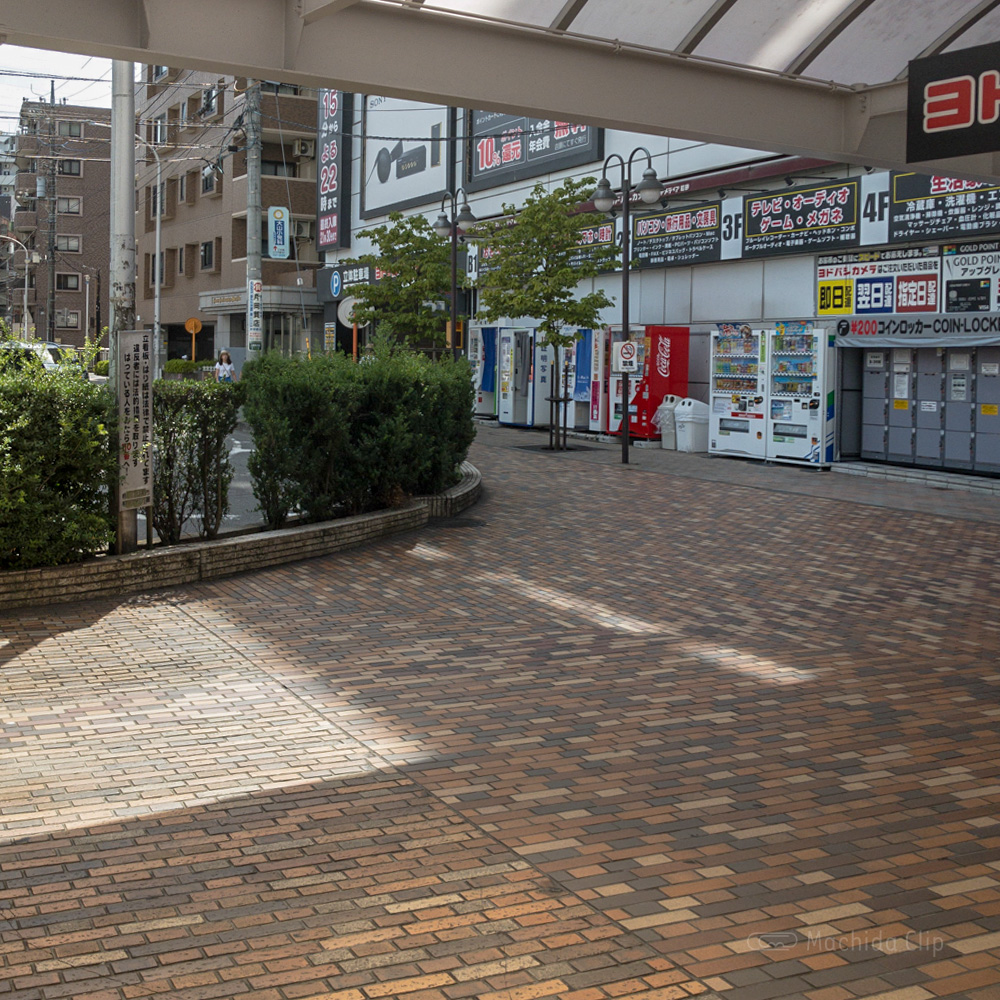 【道順案内の写真】ヨドバシカメラ前の通りの写真