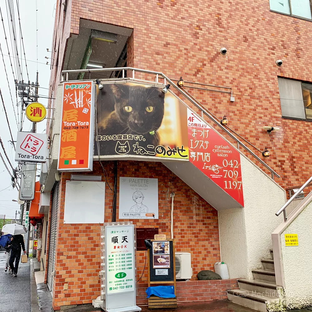 ねこのみせ 町田の猫カフェ 料金は10分150円 飲食物持ち込みok 漫画やソファでくつろげる 町田駅のランチ検索など町田の地域情報メディア マチダクリップ