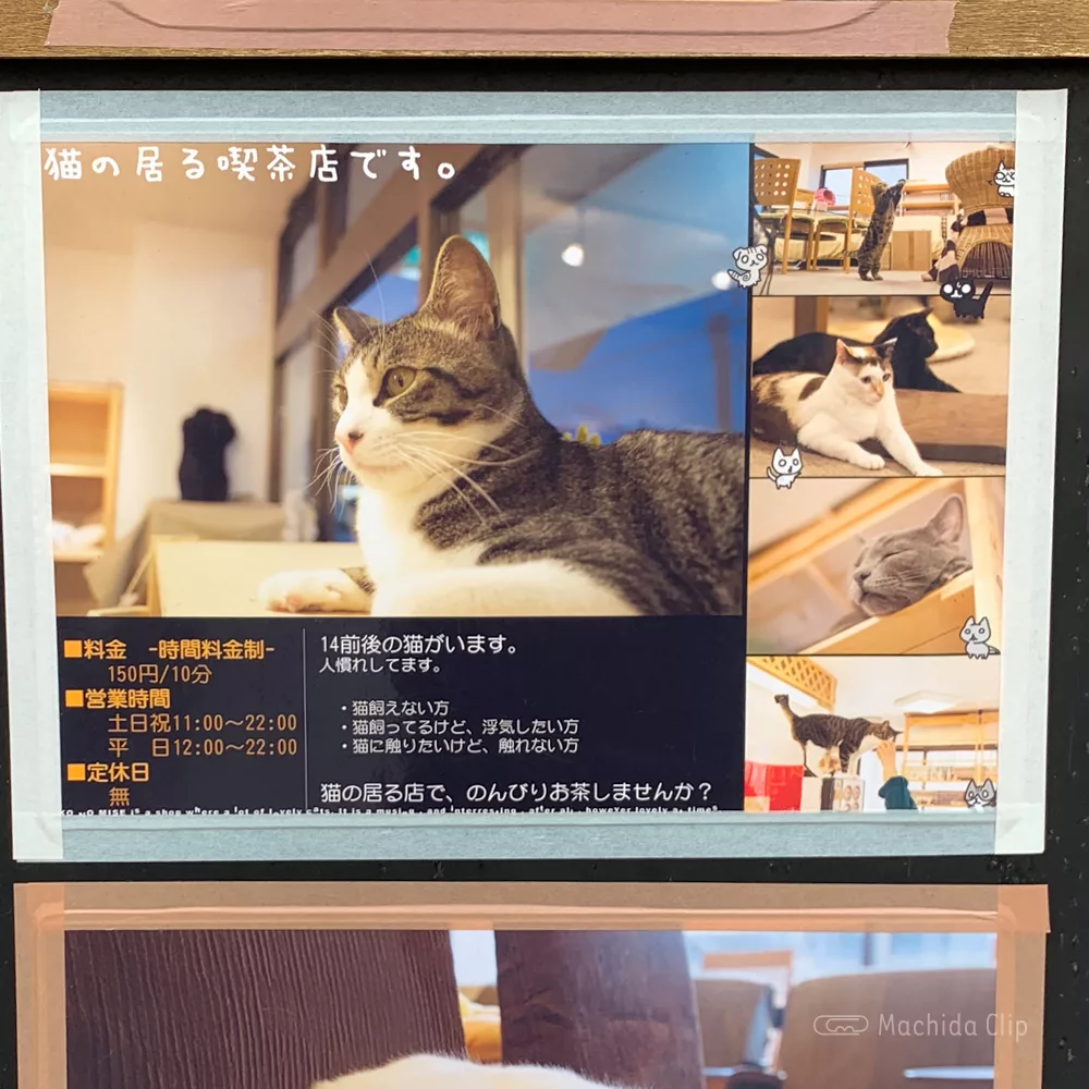 ねこのみせ 町田の猫カフェ 料金は10分150円 税込 飲食物持ち込みok 漫画やソファでくつろげる 町田のランチ予約ならマチダクリップ
