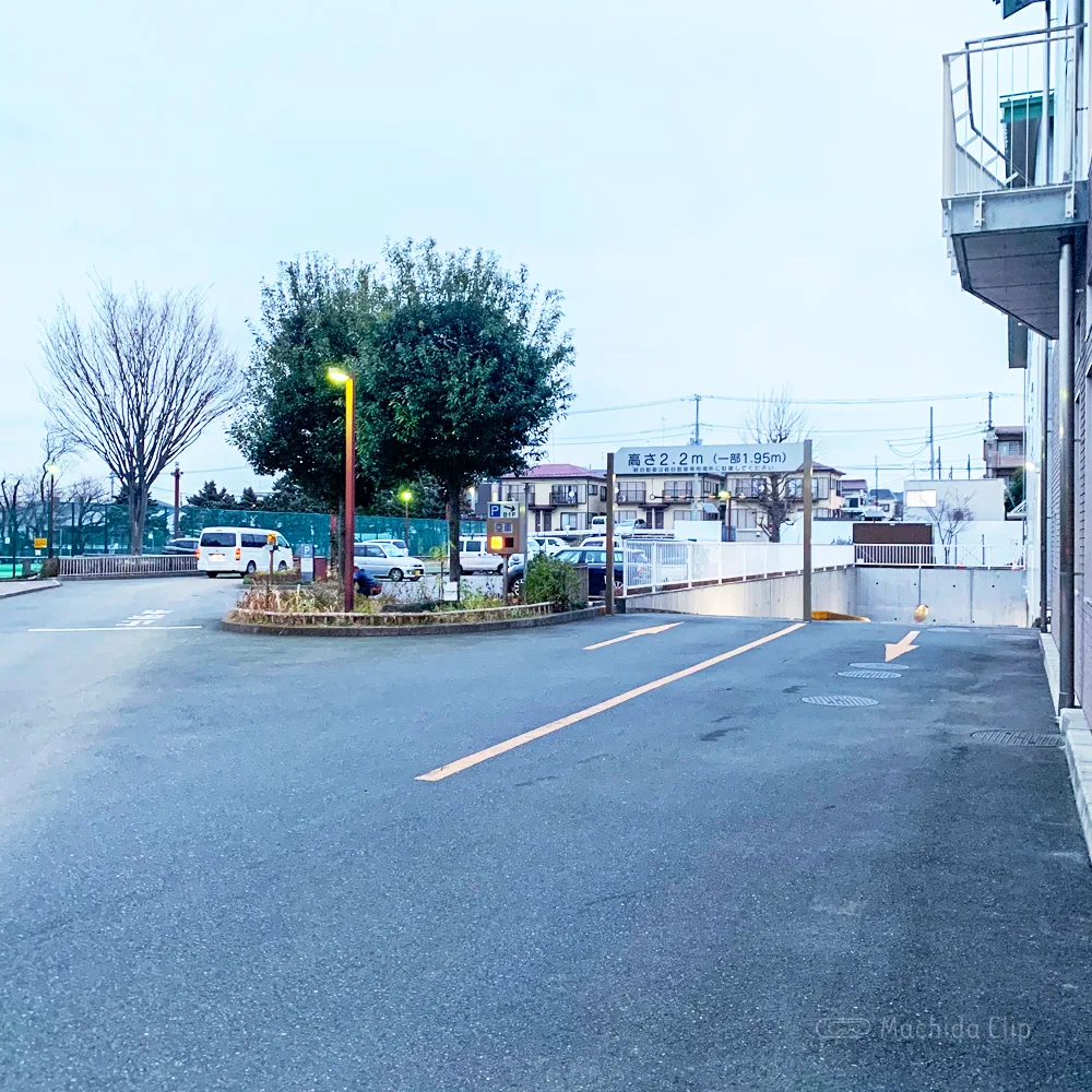 町田中央公園の桜 お花見情報21 開花状況 桜祭り 駐車場について紹介 町田のランチ予約ならマチダクリップ