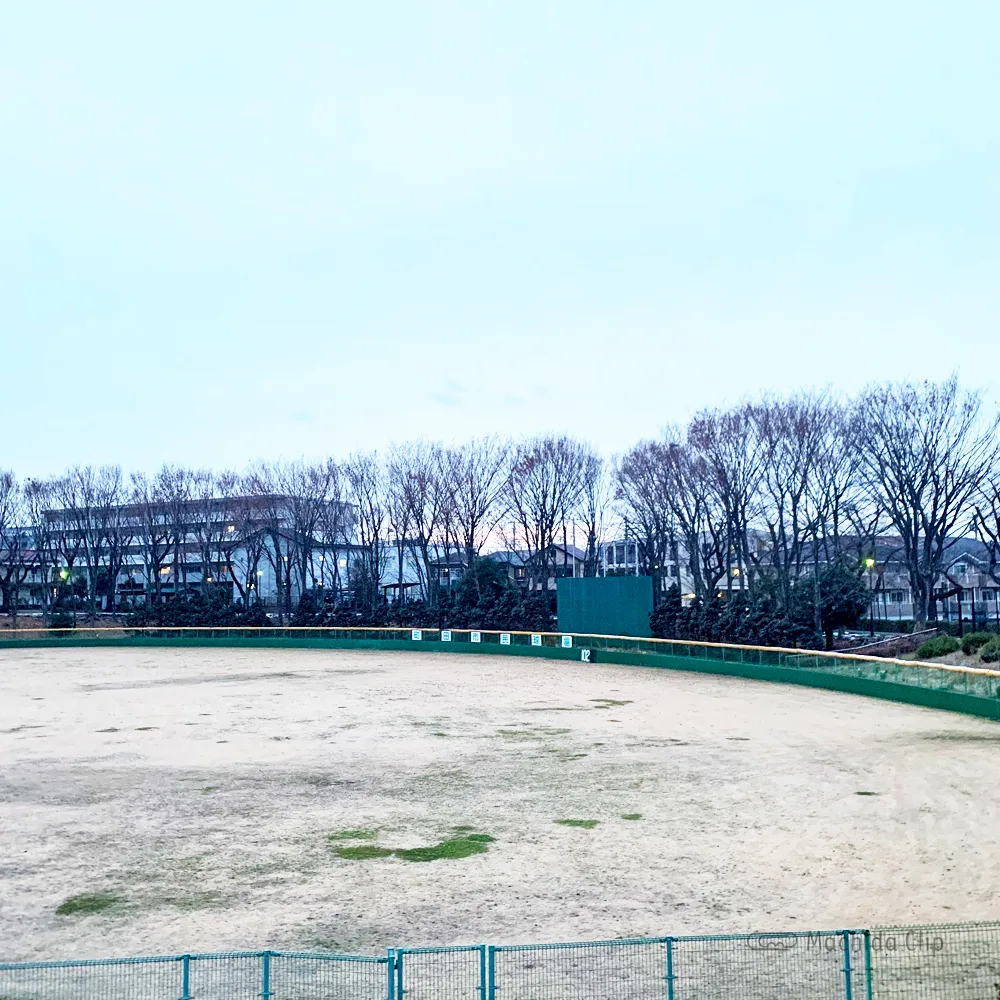 町田中央公園の桜 お花見情報21 開花状況 桜祭り 駐車場について紹介 町田のランチ予約ならマチダクリップ