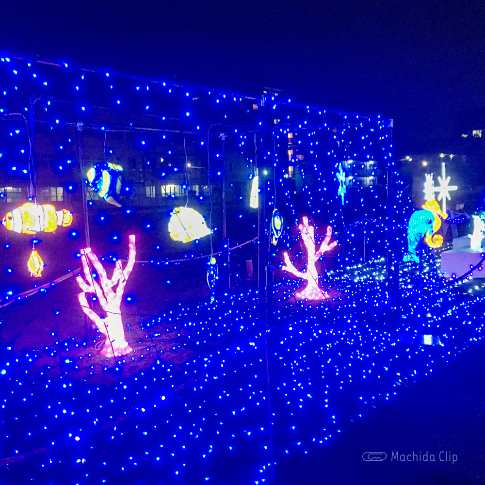 町田シバヒロクリスマスイルミネーションの写真