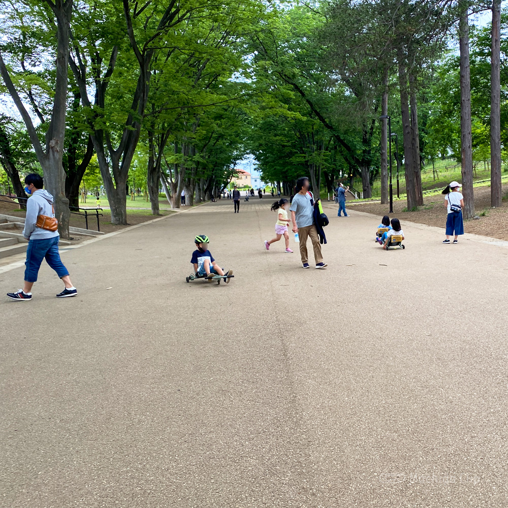 鶴間公園の「EzyRoller(イージーローラー)」の写真