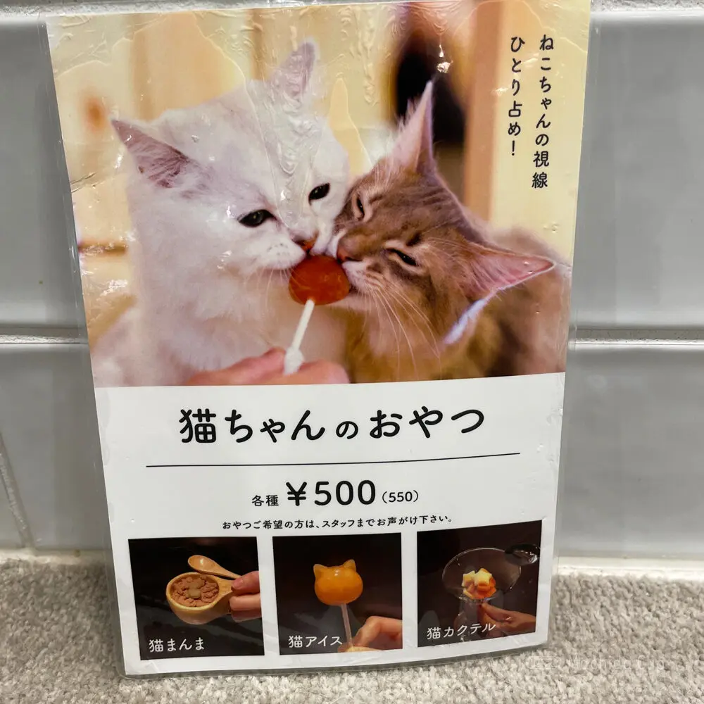 large of 猫カフェ MOCHA(モカ) 町田ジョルナ店のメニューの写真
