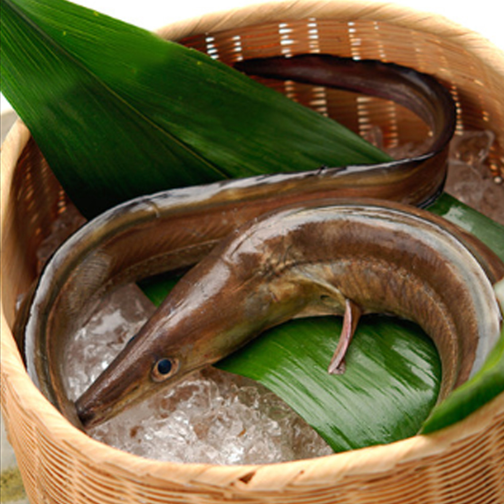 つな八 町田のはもの写真