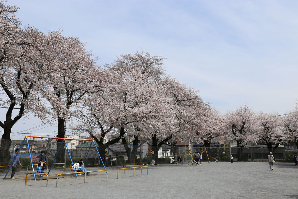 町田中央公園の写真