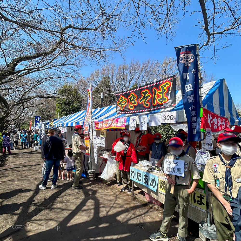 町田尾根緑道のさくら祭りの写真