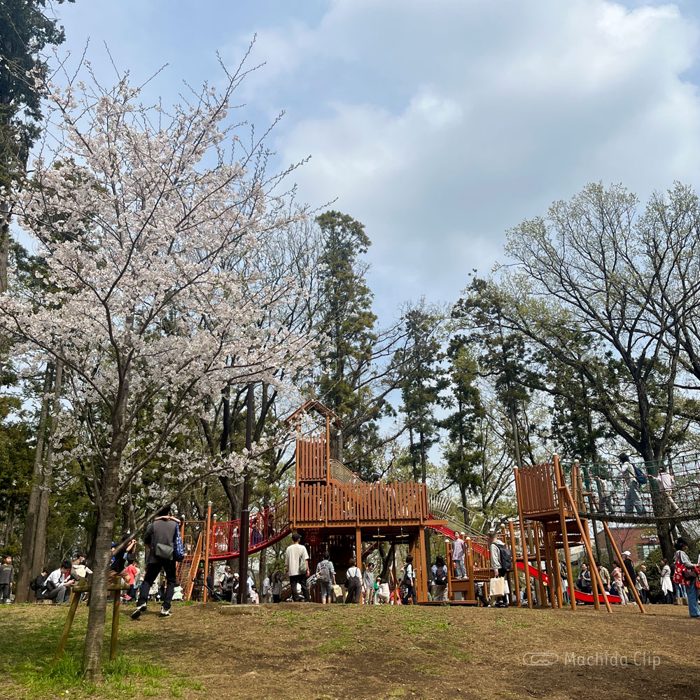 鶴間公園の桜の写真