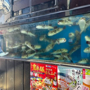 とらふぐ亭 町田店の店内の写真